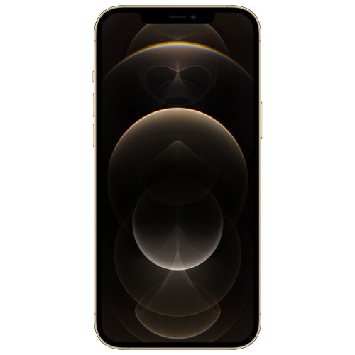 Apple iPhone 12 Pro Max (Open Box)