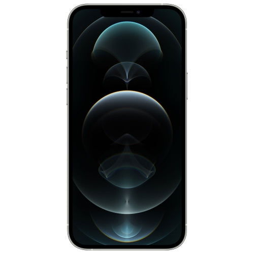 Apple iPhone 12 Pro Max (Open Box)