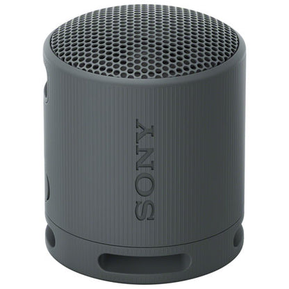 Sony SRS-XB100 Waterproof Bluetooth Wireless Speaker