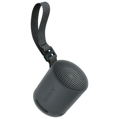 Sony SRS-XB100 Waterproof Bluetooth Wireless Speaker