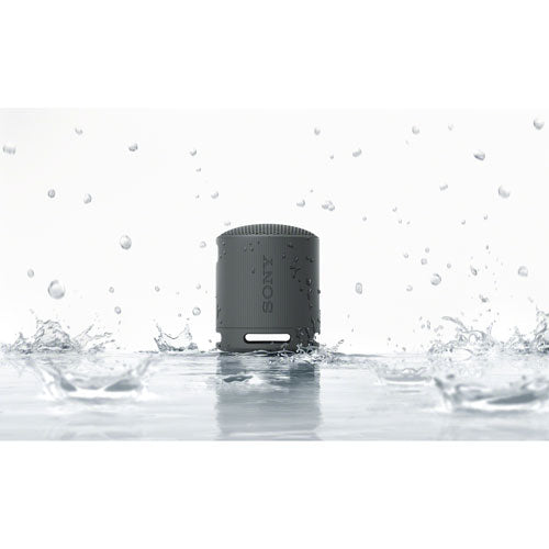 Sony SRS-XB100 Waterproof Bluetooth Wireless Speaker