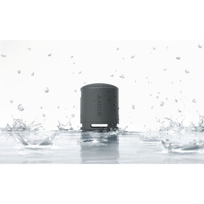 Sony SRS-XB100 Waterproof Bluetooth Wireless Speaker
